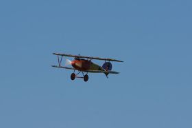 DSC05326.jpg