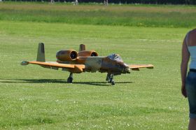 DSC05600.jpg